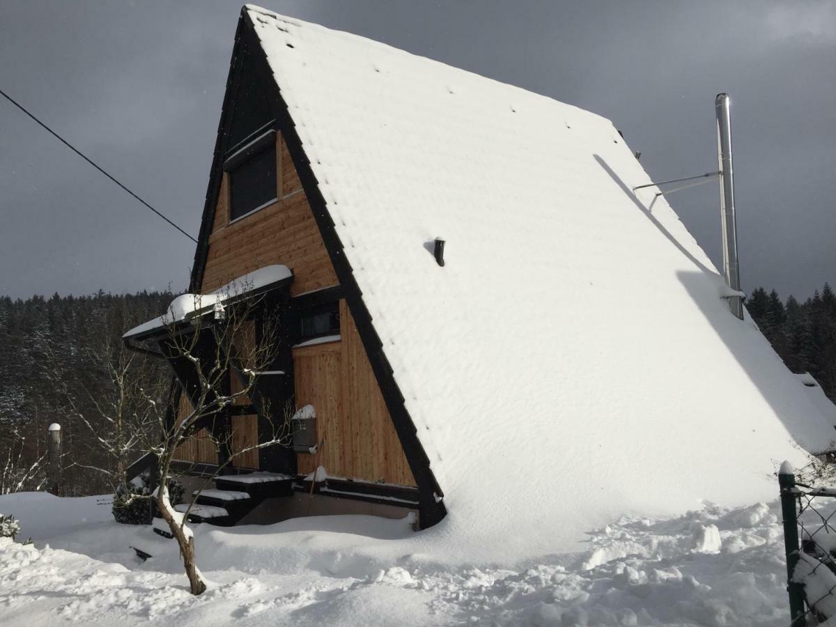 Haus Fichtelgebirge Villa Nagel Bagian luar foto